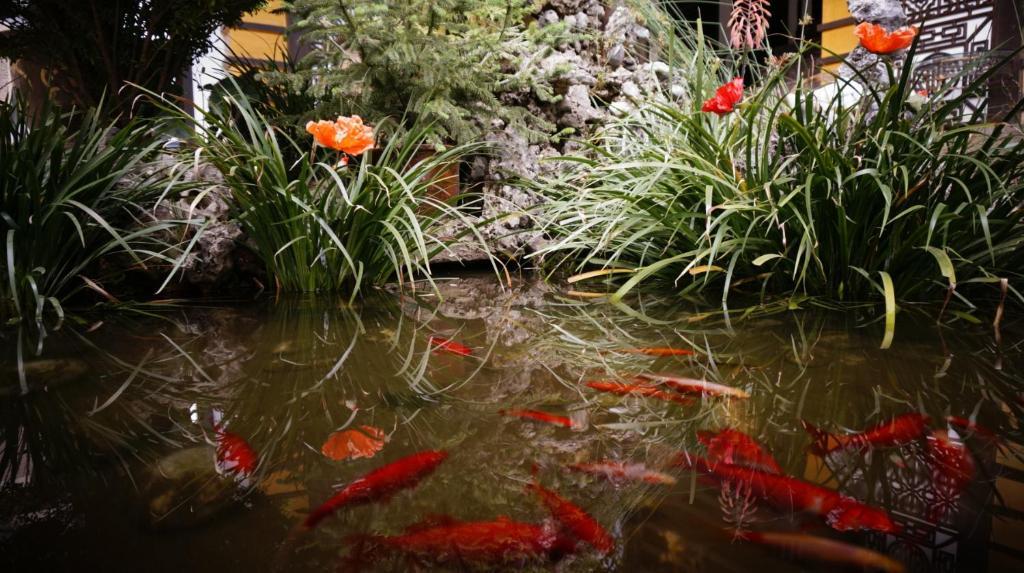 Lijiang Wangjia Courtyard Inn 외부 사진